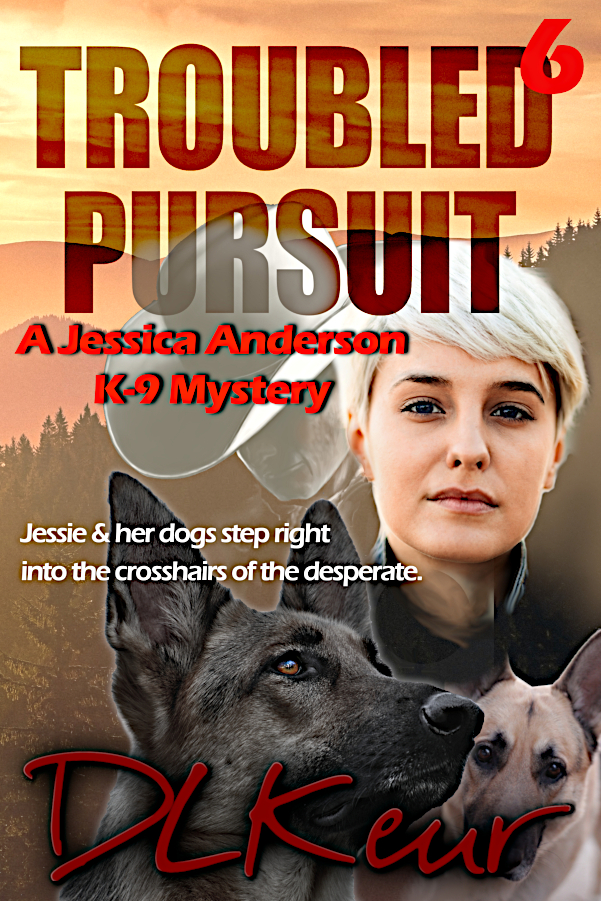 Jessica Anderson Book 6 cover.