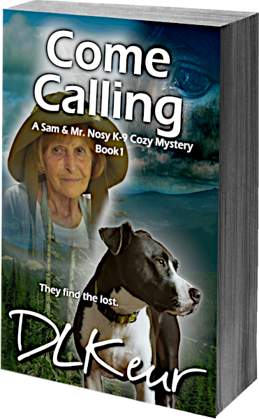 Book 3 Title